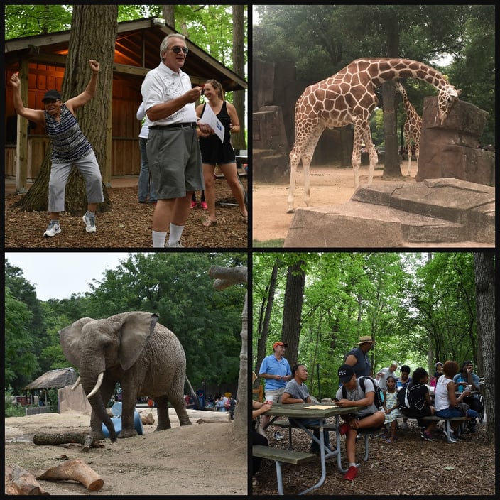 Xymox Zoo.jpg